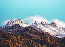 浙江高速反击三人连线，陶强龙破门本场完成传射！